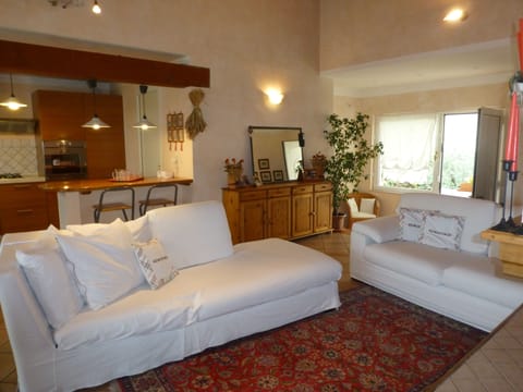 large and bright living room