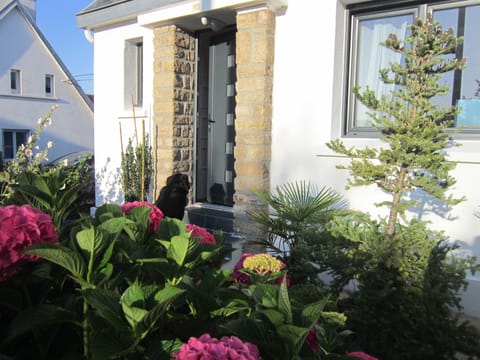 the front of the house at the east
