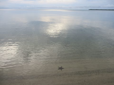 The Local Beach is Waiting for You