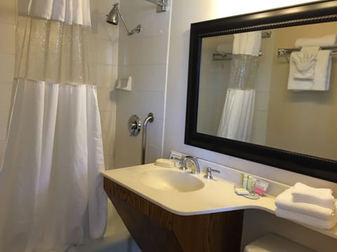 Combined shower/tub, free toiletries, hair dryer, towels