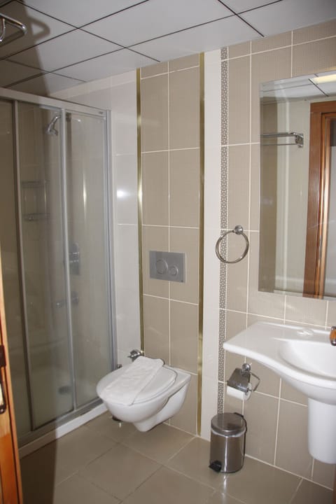 Family Room | Bathroom | Shower, free toiletries, hair dryer, towels