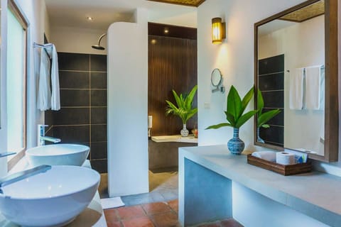 Villa | Bathroom | Shower, free toiletries, hair dryer, towels