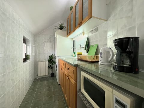 Panoramic Apartment, 1 Bedroom, Terrace | Private kitchen | Fridge, microwave, stovetop, coffee/tea maker