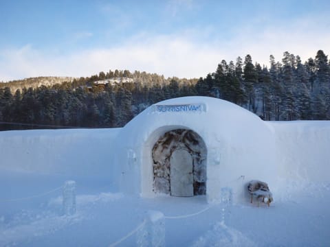 Igloo Hotel double room | Exterior