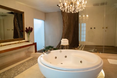 Suite Collete | Bathroom | Separate tub and shower, hydromassage showerhead, designer toiletries