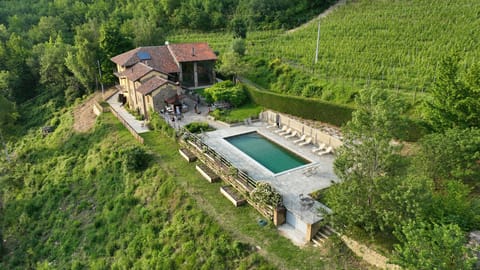 New Pool and Landscaping