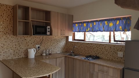 Luxury Apartment, Multiple Beds, Accessible, Ground Floor | Private kitchen | Full-size fridge, microwave, stovetop, electric kettle