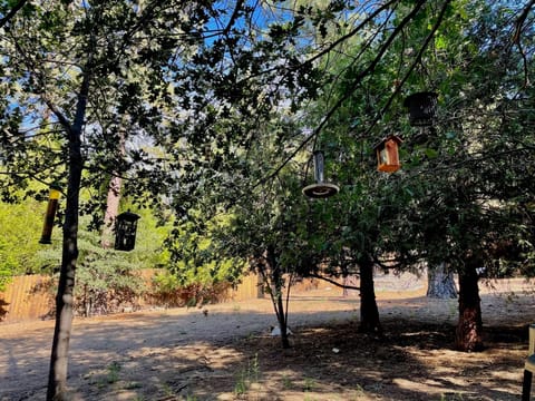 For you bird lovers there is a great bird watching area and extra bird seed too!