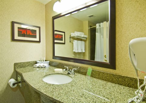 Suite, 1 King Bed | Bathroom | Combined shower/tub, free toiletries, hair dryer, bathrobes