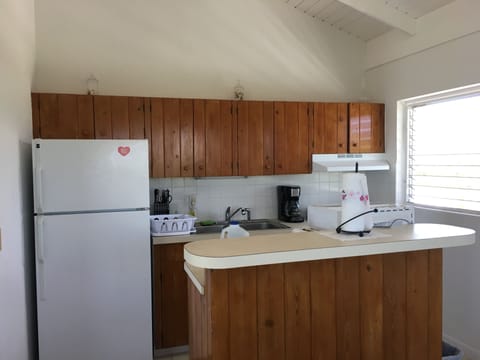 Classic Villa, 1 Bedroom, Ocean View, Beachfront | Private kitchen | Full-size fridge, microwave, oven, stovetop