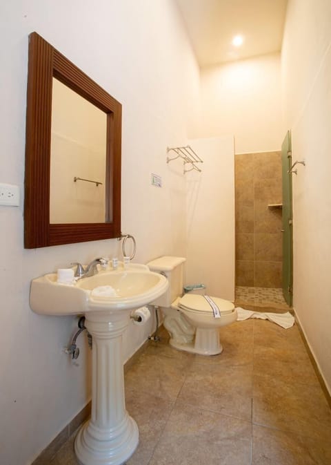 Standard Double Room | Bathroom | Shower, towels, soap, shampoo