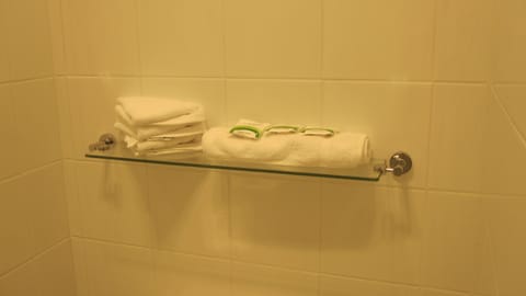 Queen Room | Bathroom | Shower, free toiletries, hair dryer, towels