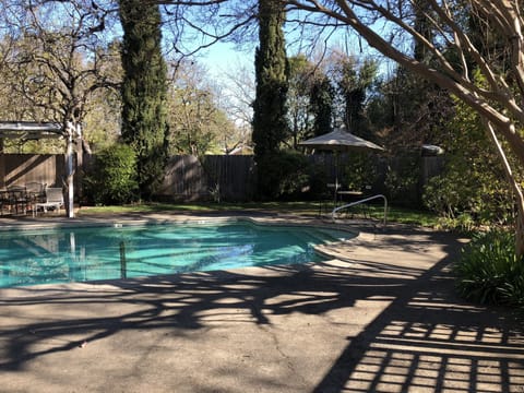 Seasonal outdoor pool, open 8:30 AM to 9:00 PM, sun loungers