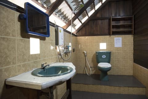 Family Bungalow | Bathroom | Shower, free toiletries, towels