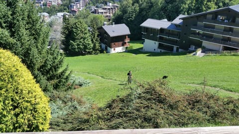 View from the apartment