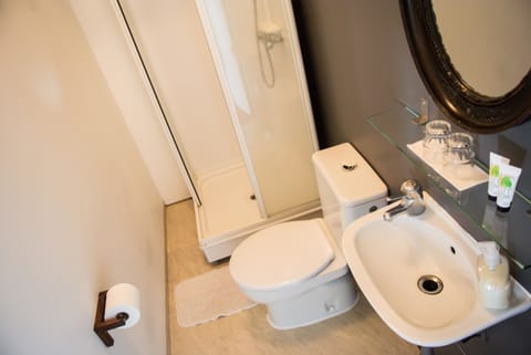 Standard Double or Twin Room, Private Bathroom | Bathroom | Hair dryer, towels, shampoo