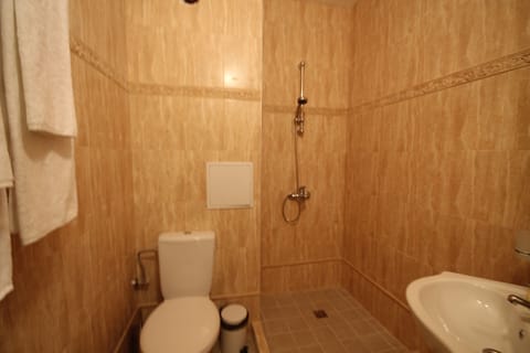 Apartment, 2 Bedrooms, Balcony, Mountain View | Bathroom | Shower, free toiletries, hair dryer, towels