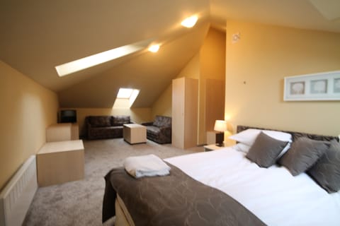 Double Room (Mansard) | Minibar, desk, free cribs/infant beds, free WiFi