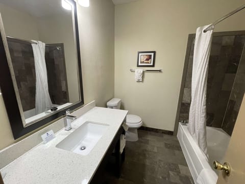 Combined shower/tub, free toiletries, hair dryer, towels