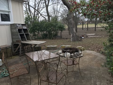 Back patio and fire ring