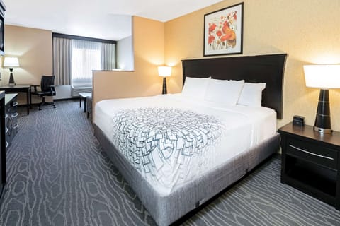 Executive Room, 1 King Bed, Non Smoking, Mountain View | Premium bedding, pillowtop beds, desk, iron/ironing board