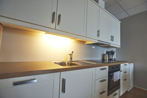 Apartment, 2 Bedrooms | Private kitchen | Fridge, coffee/tea maker, electric kettle