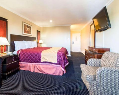 Economy Room, 1 King Bed, Refrigerator & Microwave, City View | Desk, rollaway beds, free WiFi