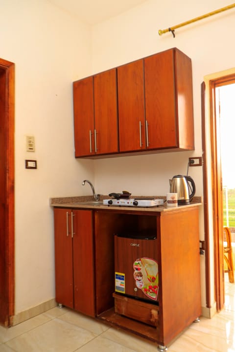 Minibar, desk, iron/ironing board, free WiFi