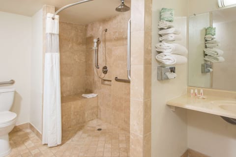 Combined shower/tub, free toiletries, hair dryer, towels