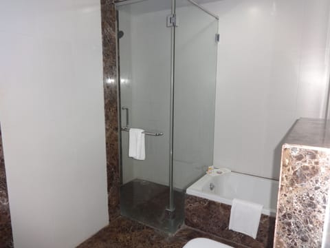 Luxury Suite | Bathroom | Shower, free toiletries, hair dryer, slippers