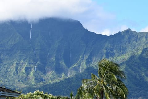 Mountain and waterfall view from living room, dining room, kitchen, master up.
