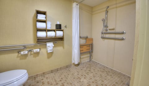 1 King Bed Mobility Accessible Roll-In Shower Studio Suite | In-room safe, iron/ironing board, free WiFi, bed sheets