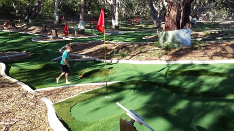 Mini-golf