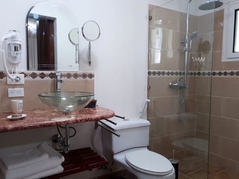 Room | Bathroom | Shower, rainfall showerhead, free toiletries, hair dryer