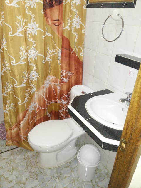 Standard Double or Twin Room | Bathroom | Shower, free toiletries, hair dryer, towels