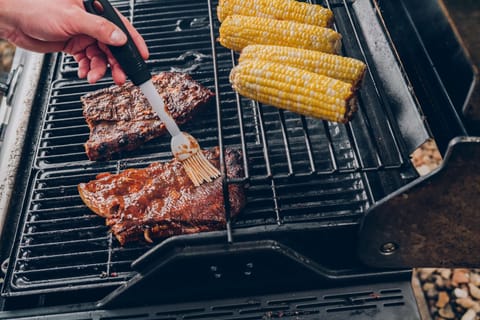 BBQ/picnic area