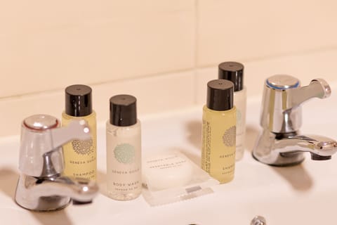 Hair dryer, towels, shampoo, toilet paper