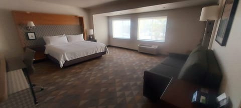 Suite, 1 King Bed | Down comforters, pillowtop beds, desk, blackout drapes
