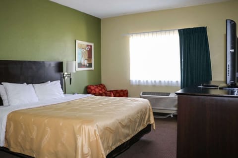 Standard Room, 1 King Bed, Non Smoking | Iron/ironing board, free cribs/infant beds, rollaway beds, free WiFi