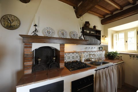 Kitchen and fireplace