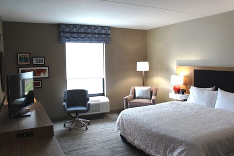 Room, 1 King Bed, Accessible (Roll-In Shower) | Desk, laptop workspace, blackout drapes, iron/ironing board