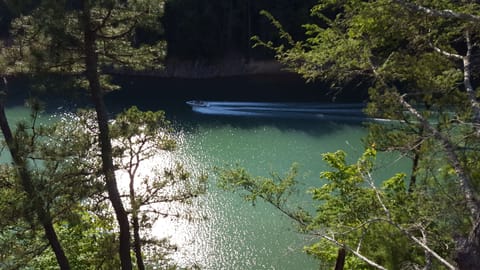 Lake levels are lower Fall to Spring