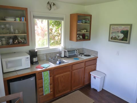 Kitchenette with microwave, toaster oven, blender, coffee maker and fridge