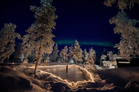 Ice skating