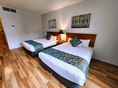 Economy Double Room Single Use, 2 Queen Beds, Accessible, Pool Access | Individually decorated, individually furnished, desk, iron/ironing board