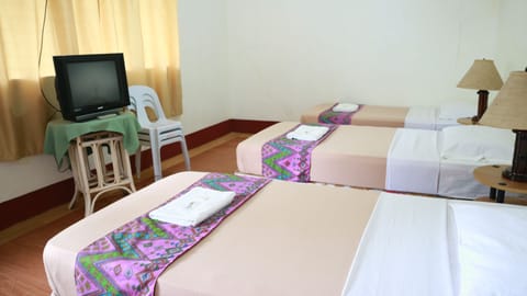 Triple Occupancy Room | In-room safe, desk, iron/ironing board, rollaway beds