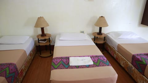 Triple Occupancy Room | In-room safe, desk, iron/ironing board, rollaway beds