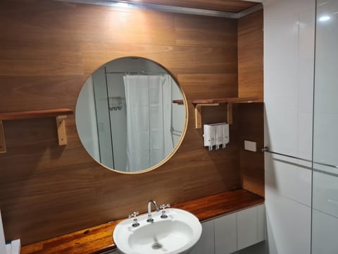 Deluxe Queen | Bathroom | Shower, free toiletries, hair dryer, towels