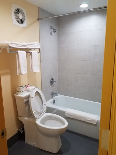 Combined shower/tub, hair dryer, towels