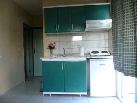 Apartment | Private kitchenette | Stovetop, electric kettle, cookware/dishes/utensils